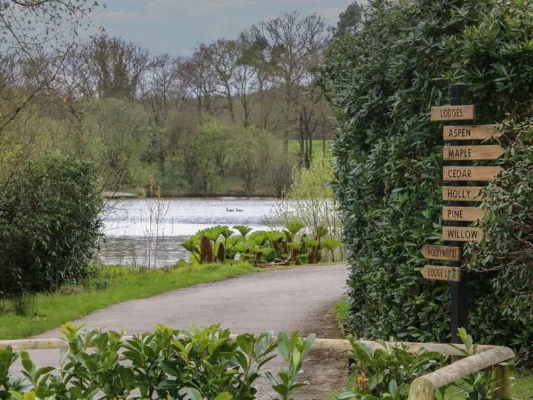 stafford moor 02 768x577